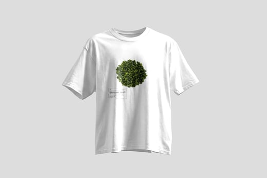 Tee — Green GABA Oolong