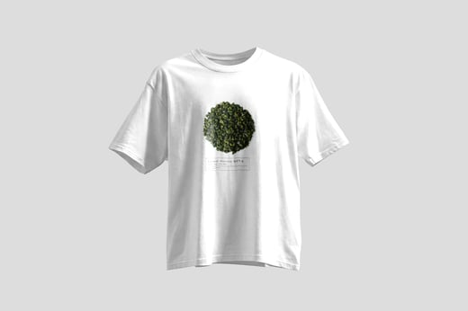 Tee — Lychee Oolong