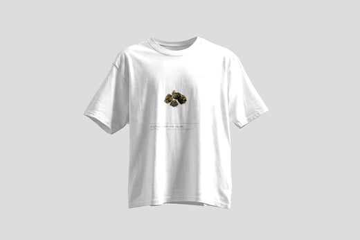 Wear — Ālǐshān Zhū Lù Chá