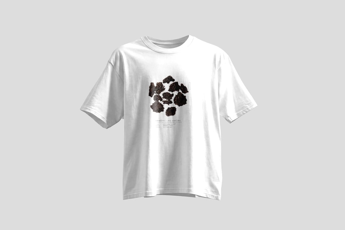 Eleven dark ripe pu'er clumps arranged in a loose circle on a cream sheet above a hairline rule and three lines of mono spec text