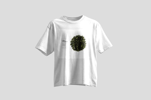 Tee — Fruity Tie Guan Yin