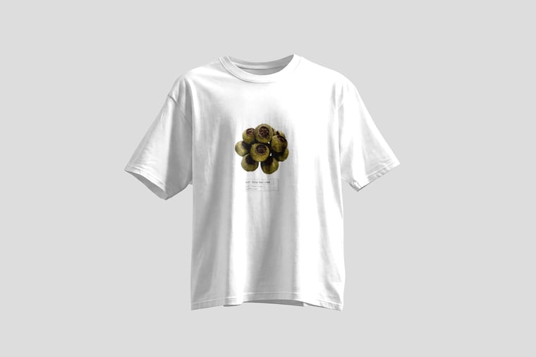 Tee — Gān Jiě Chá