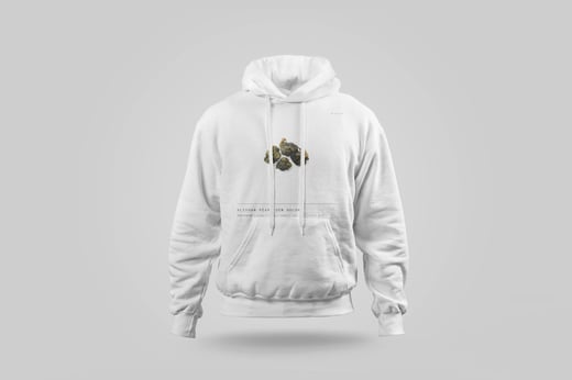Hoodie — Ālǐshān Zhū Lù Chá