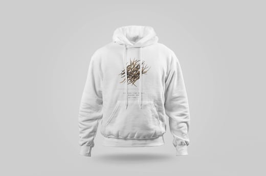 Hoodie — Diān Hóng Sòng Zhèn