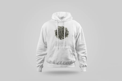 Hoodie — Yunnan Mao Feng Green Tea