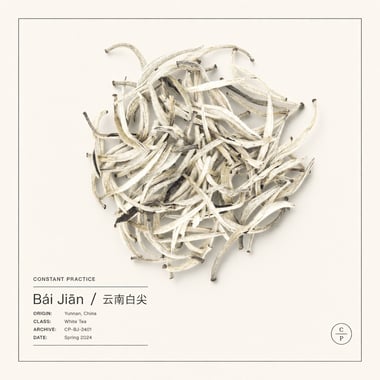 Bái Jiān